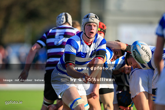 gpfoto.ie