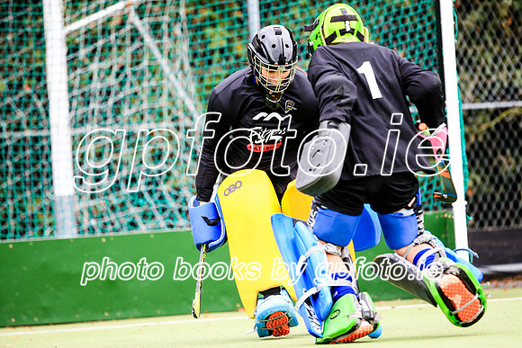 22-09-2019-CGJ24515.JPG