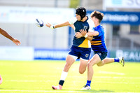 BC v Leinster