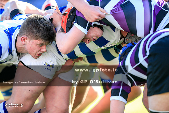 gpfoto.ie