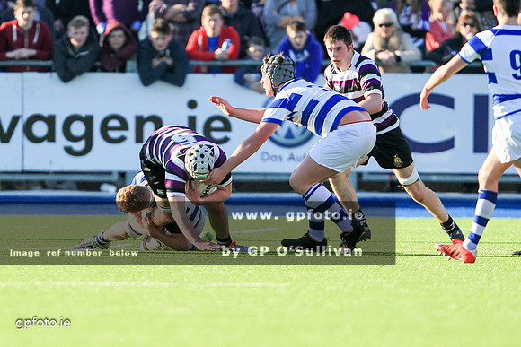 gpfoto.ie