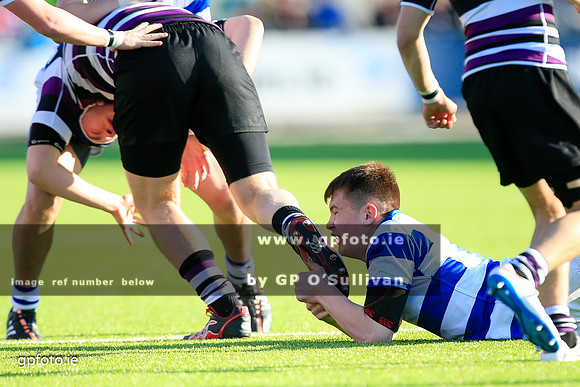 gpfoto.ie