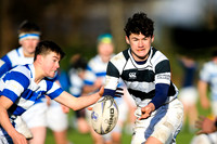 Belvedere v Blackrock (Friendly)