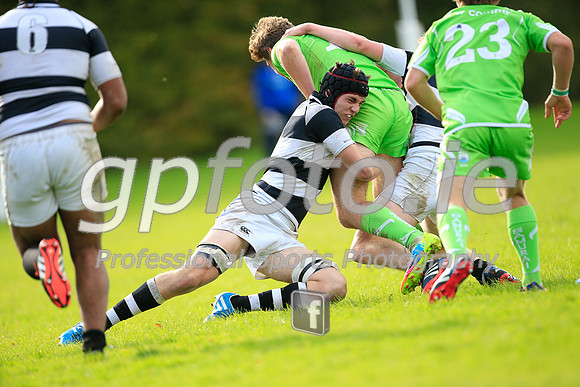20141024-_P148779