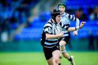 Cistercian Roscrea v Castleknock