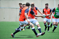 U20_0954