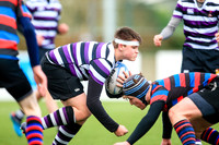 Terenure v St. Munchin's