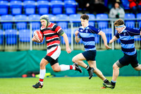 Wesley v Newpark