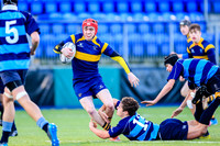 Kings Hospital v Newpark