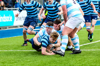 Castleknock
