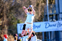 DL5L8963