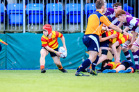 Temple Carrig v Clongowes