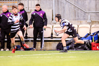 CCR v Terenure