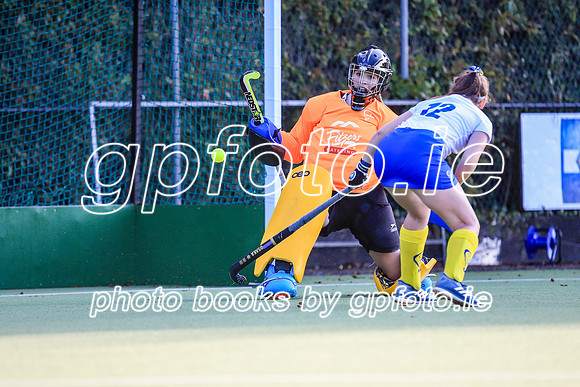 22-09-2019-CGJ21432.JPG