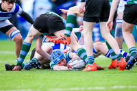 St. Gerard's v Blackrock