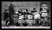 P1012498huddle