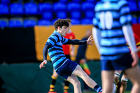 Castleknock v CBC Monkstown
