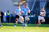 St.Michael's v Belvedere