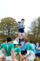 20141024-_MB_8344