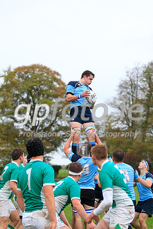 20141024-_MB_8344