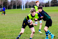 St.Gerard's v Wesley