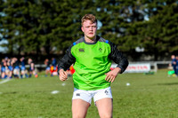 Ireland v France
