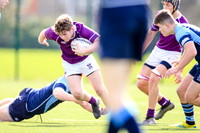 Clongowes v St Micheal's 2nds (Final)