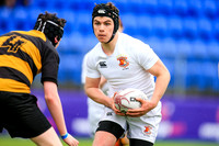 Pres Bray v St. Pats (JCT  Plate Final)