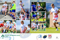 Layout (1)