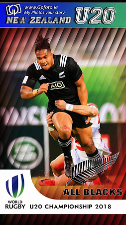 NEw Zeland 17