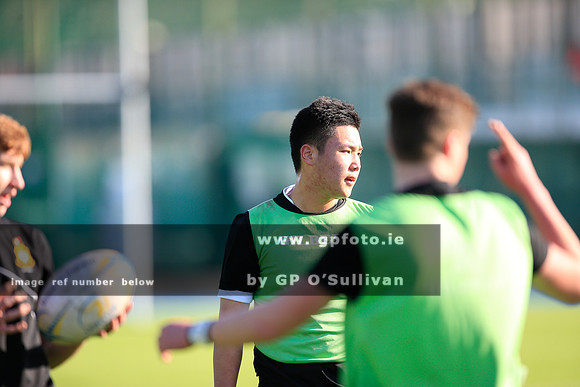 gpfoto.ie