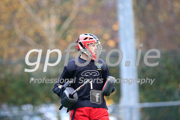 20141121-_P149679
