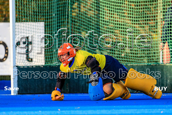 12-11-2023-BDGL2901