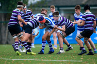 07112018-FJMO4319.JPG