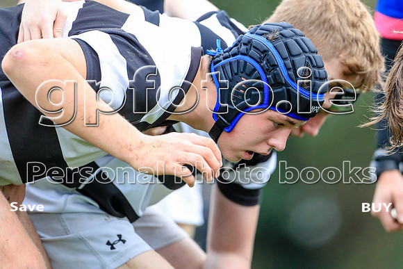 18-11-2023-BDGL7196