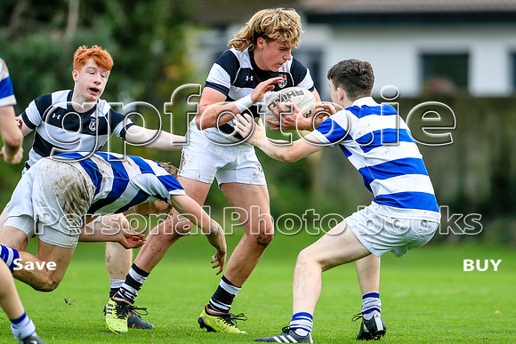 18-11-2023-BDGL7375