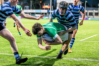 Gonzaga v Castleknock