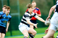 02-01-19FJMO6740