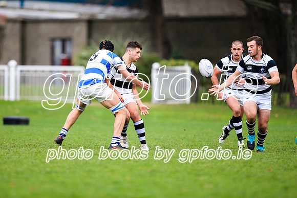 24-11-18CGJ21978