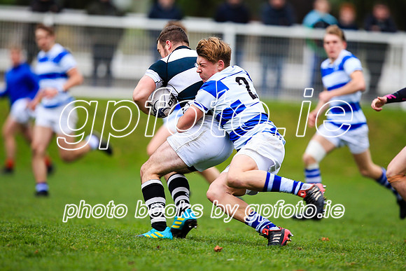 24-11-18CGJ21996
