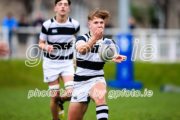 24-11-18CGJ22006