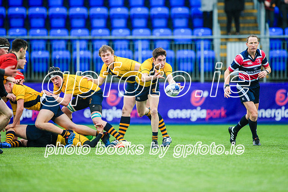 24-01-19CGJ20533