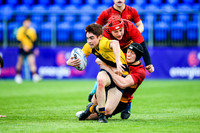 The King's Hospital  v CBC Mounkstown