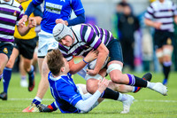 Terenure v St. Mary's (Match)