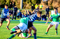 Castleknock