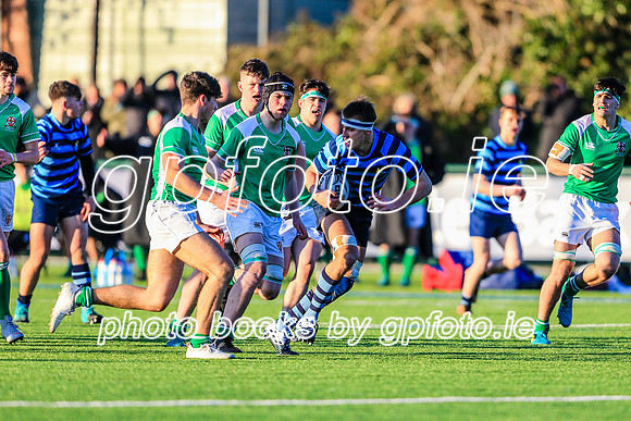 30-01-19IMGL7566