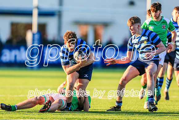 30-01-19IMGL7617