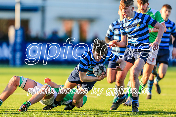 30-01-19IMGL7620