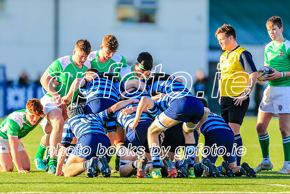 30-01-19IMGL7431