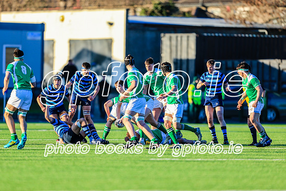 30-01-19IMGL7535